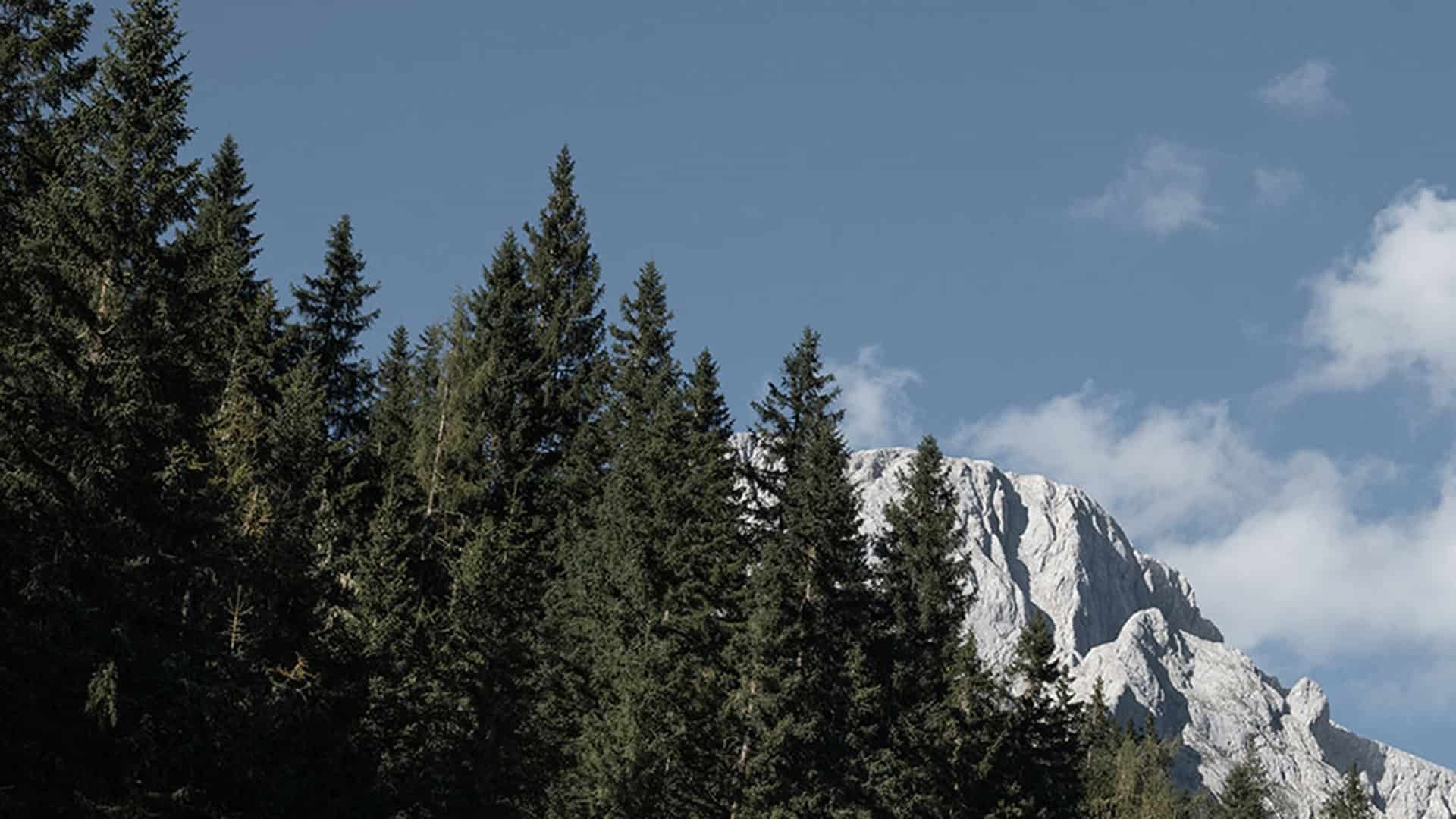 Mountain Hideaway Birgkar