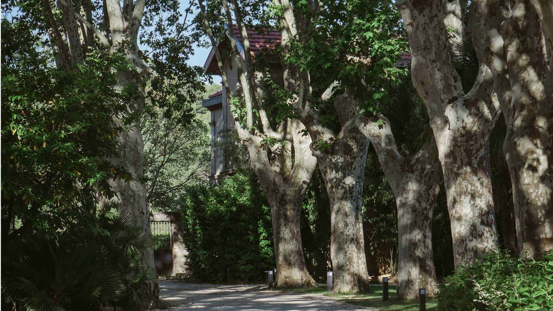 Chateau de Montcaud 01