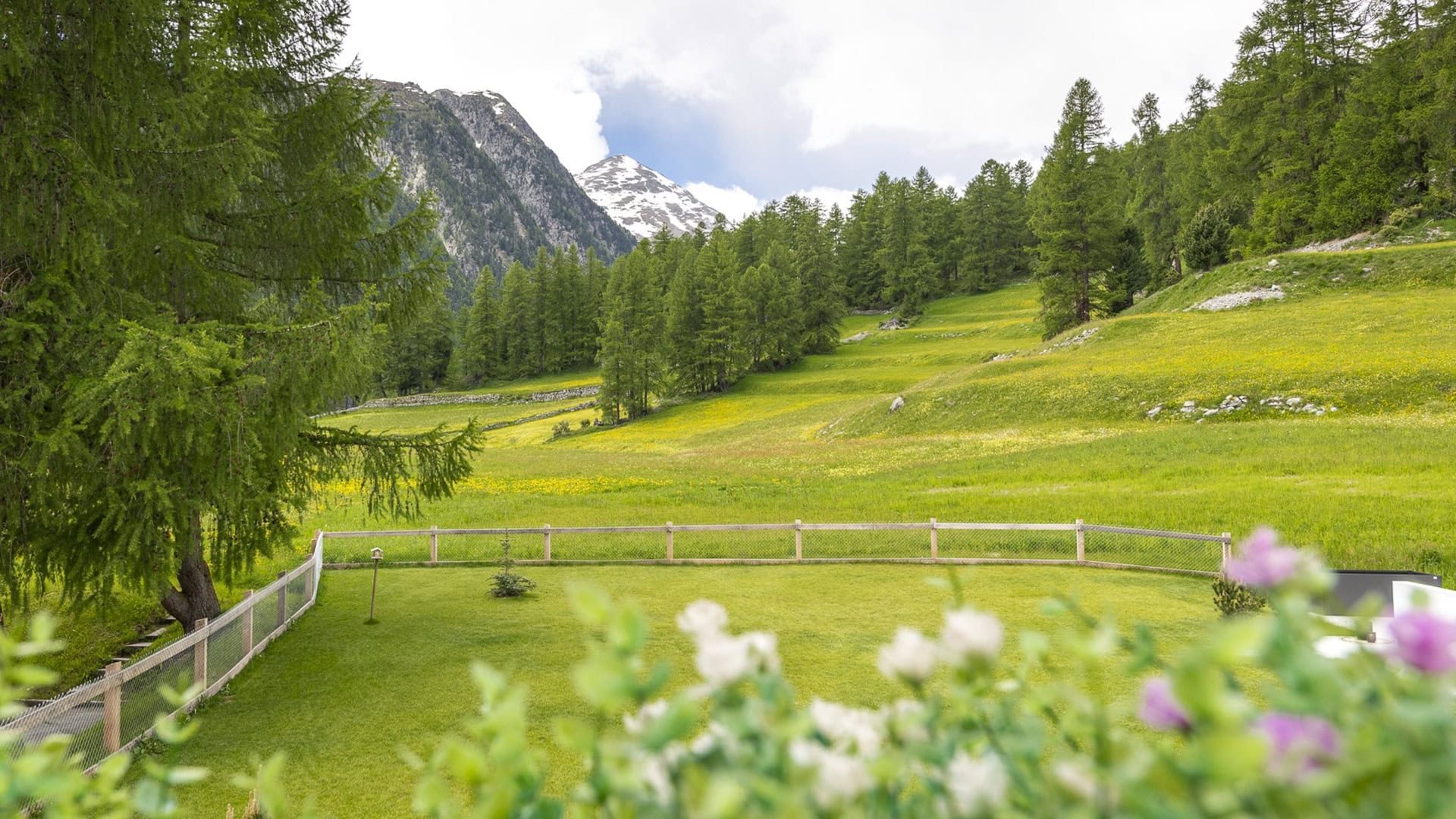 Engadin_Chalet_Aussicht im Sommer ins Grüne zugeschnitten_KD