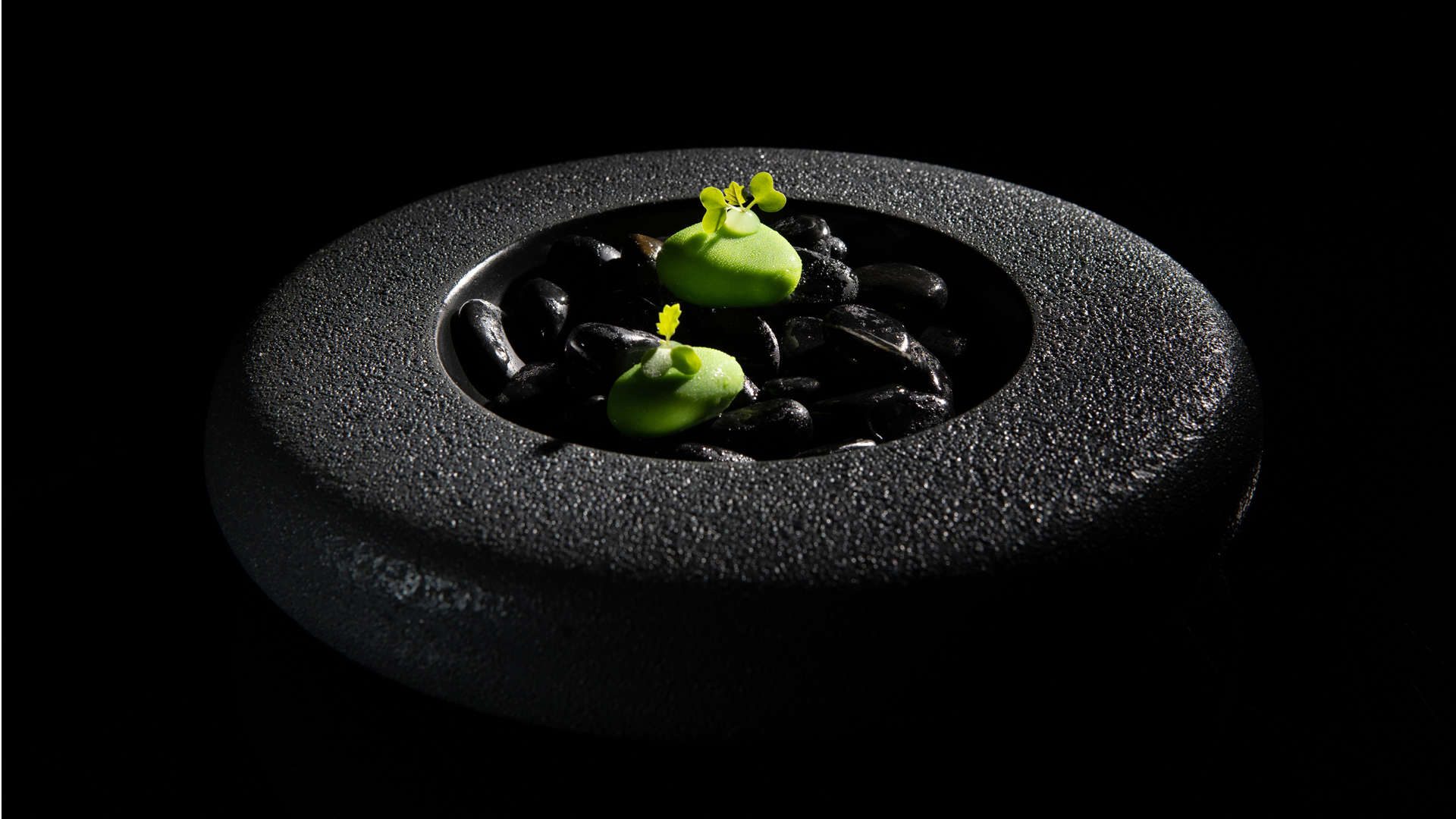 Fera Palma 11