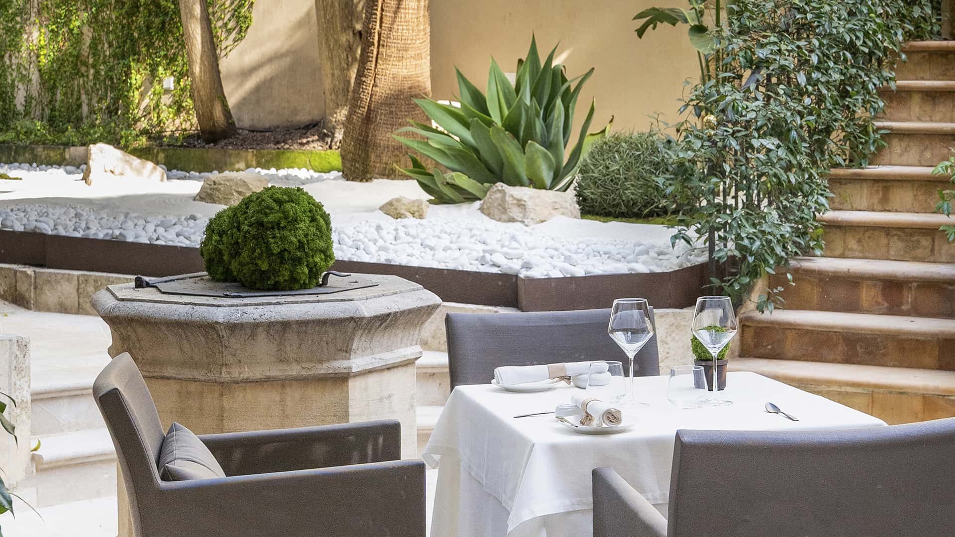 Fera Palma 21