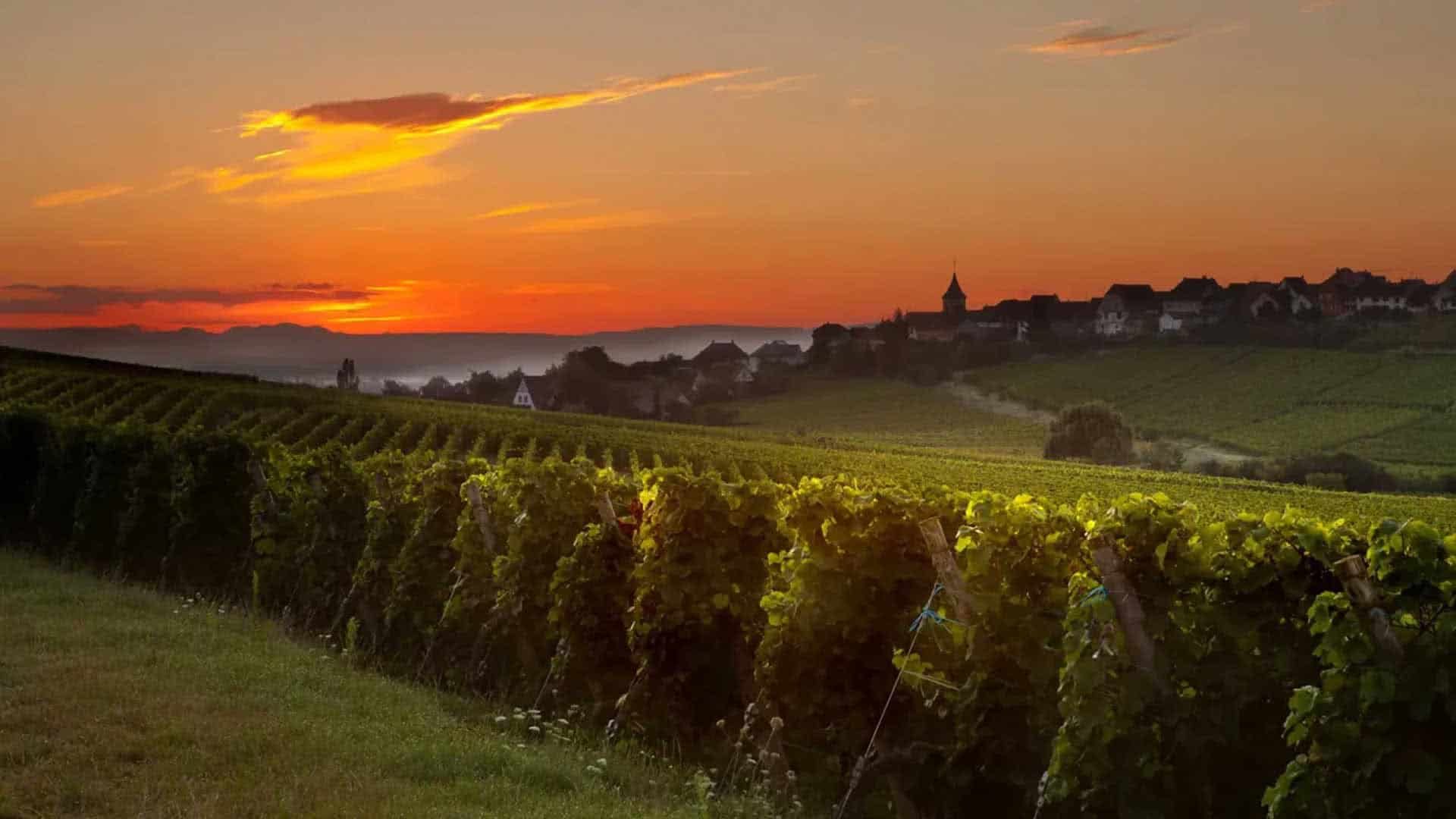 Hostellerie des Chateaux 29