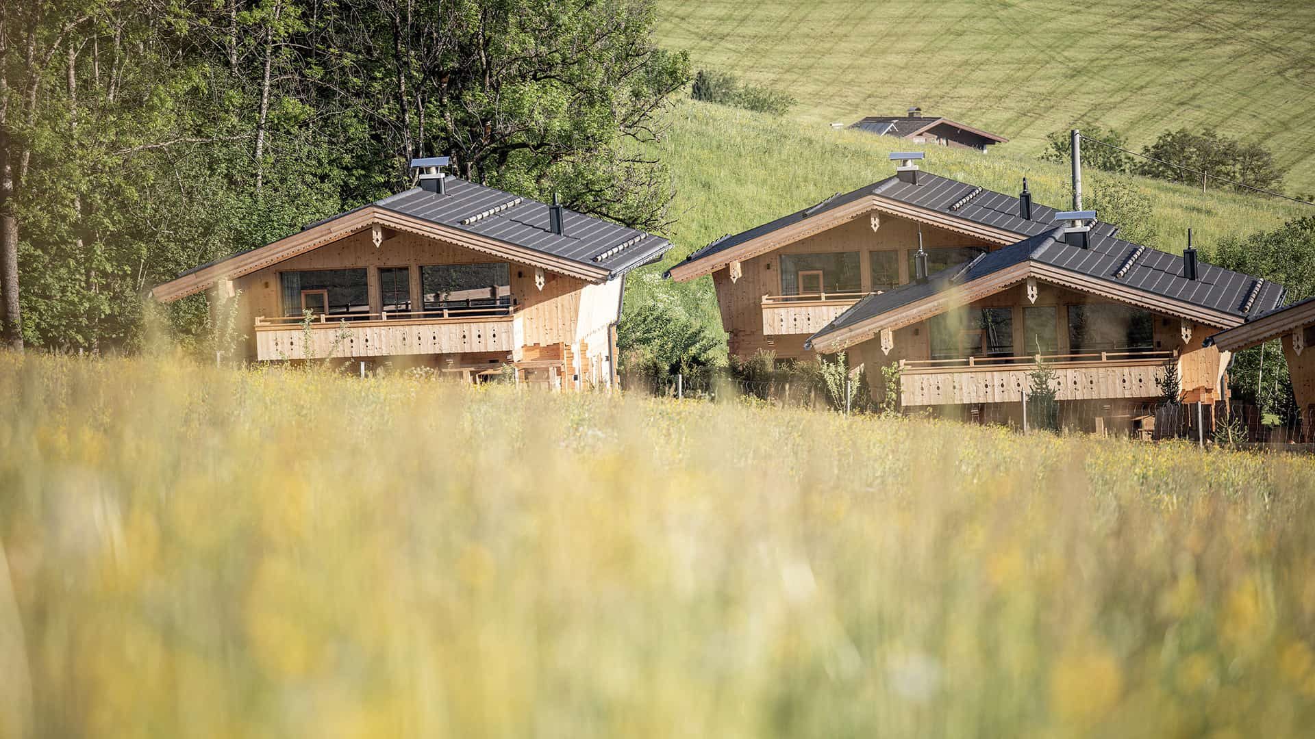 Hygna Chalets Aussen Sommer Detail 1