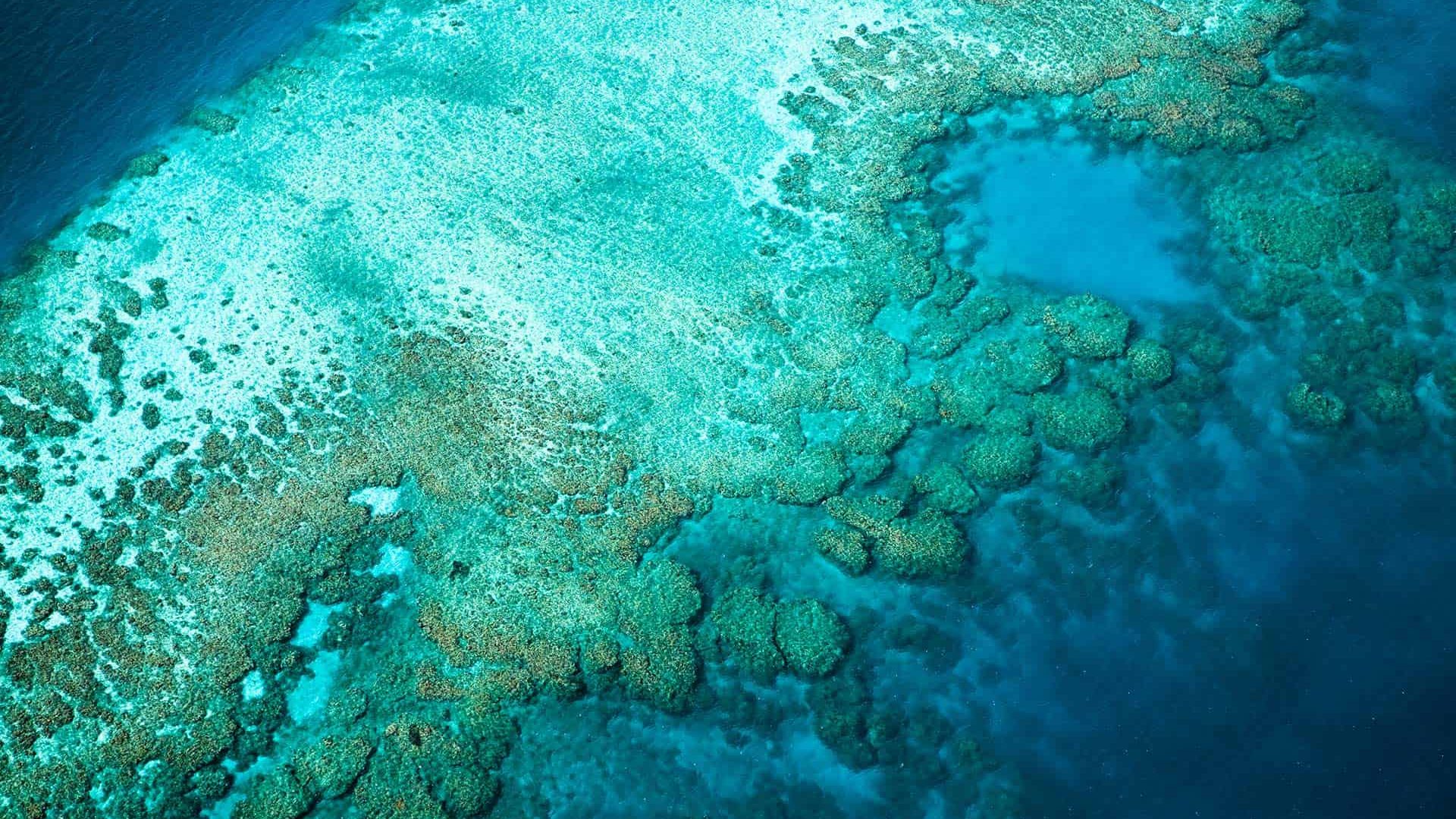 Laucala Island CLI---Aerial-view---Over-ocean