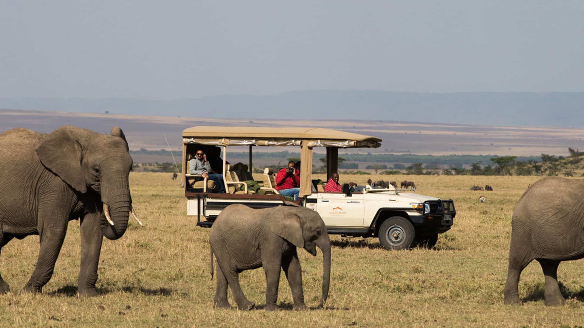 Mahali Mzuri Elefanten und Jeap