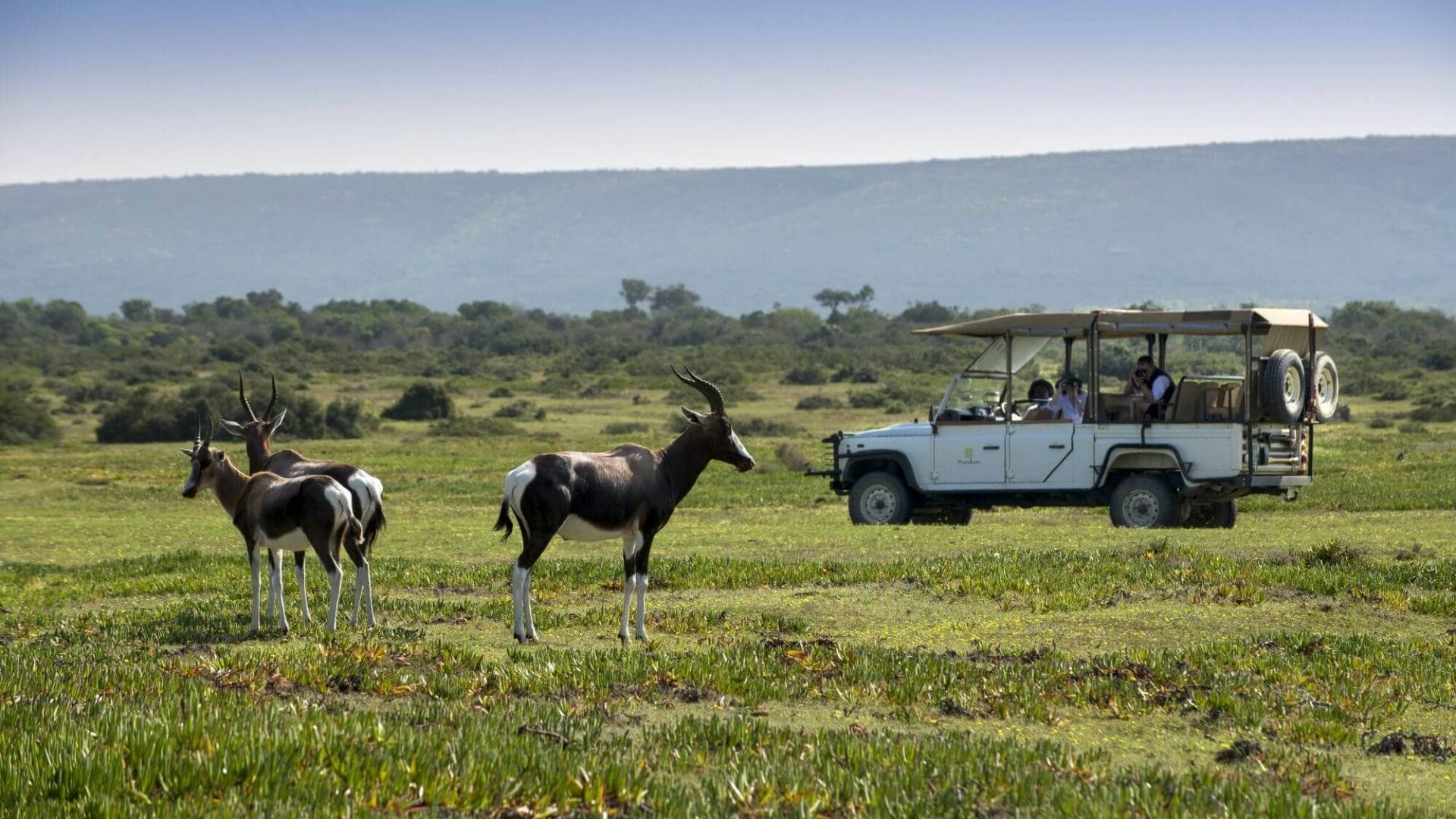 Morukuru-beach-lodge-245_web