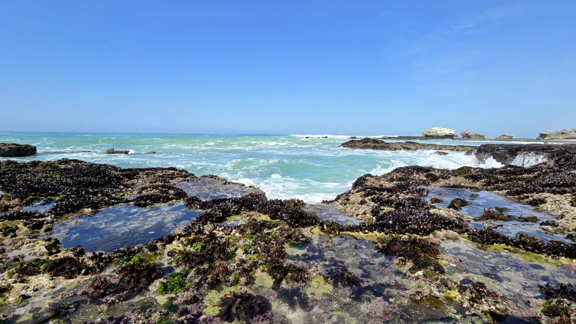 Morukuru-beach-lodge-53_web