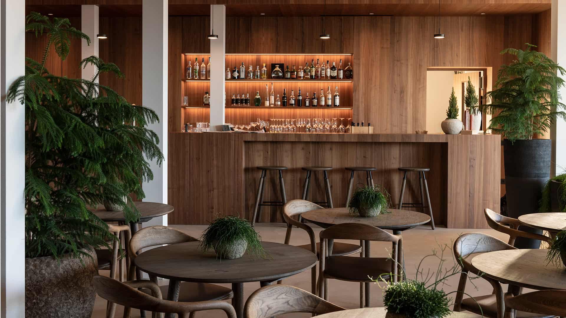 Saltus_bar2