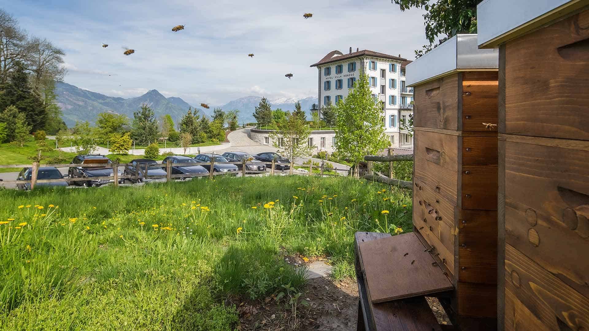 Villa_Honegg_Bienenstock