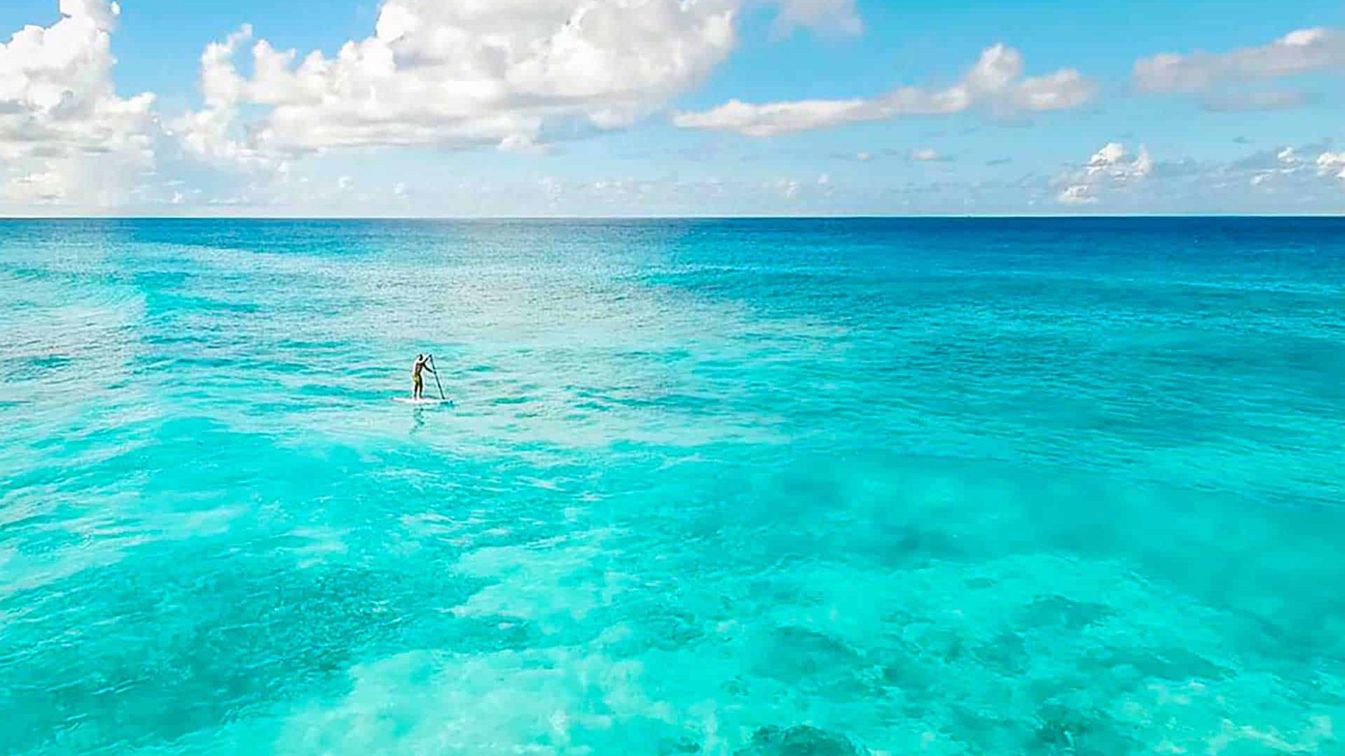North-Island-paddle-board-in-paradise