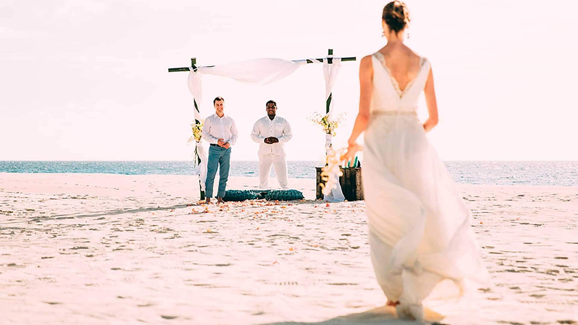 North-Island-Wedding
